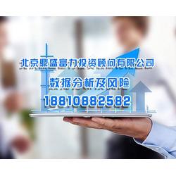 北京鼎盛投資顧問公司企業(yè)項目數(shù)據(jù)分析與風險控制策略報告